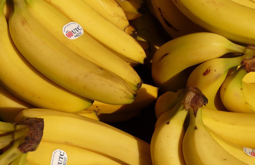 В ящиках с бананами нашли 840 кг кокаина в чешских магазинах