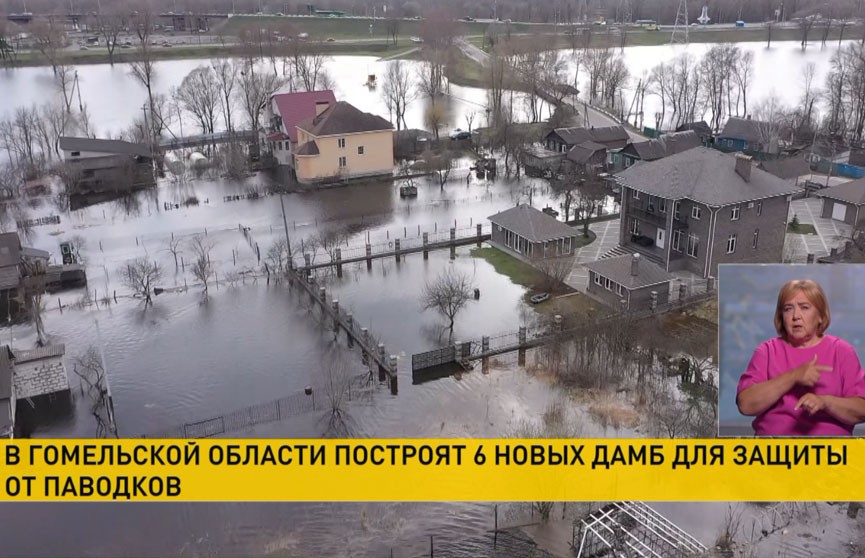 Новые дамбы для защиты от паводков построят в Гомельской области