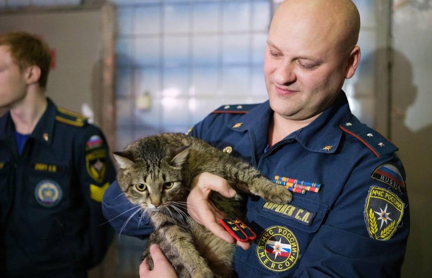 Кот Толик из 89-й пожарной части Москвы получил звание прапорщика внутренней службы