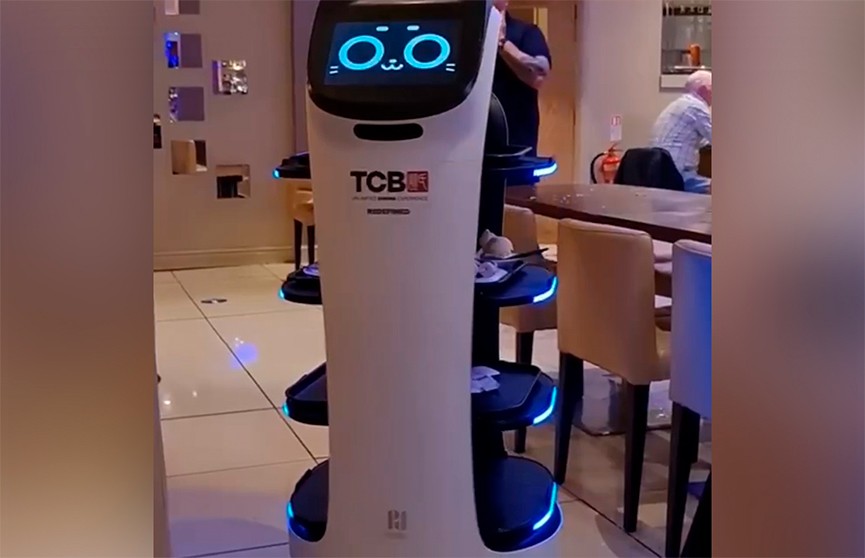 В Великобритании сеть ресторанов заменила официантов на роботов-котов