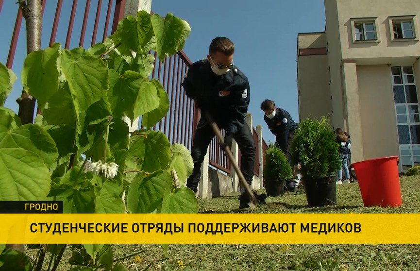 Студотряды в Гродно приводят в порядок территории больниц