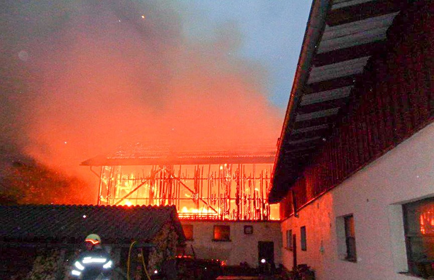 Пожар на ферме в Ляховичском районе,  167 телят было спасено