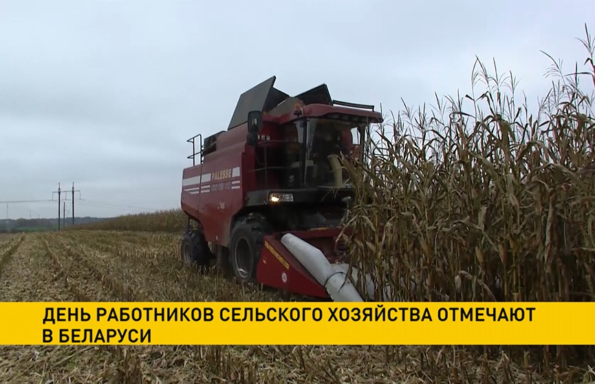 В Беларуси отмечают день работников сельского хозяйства