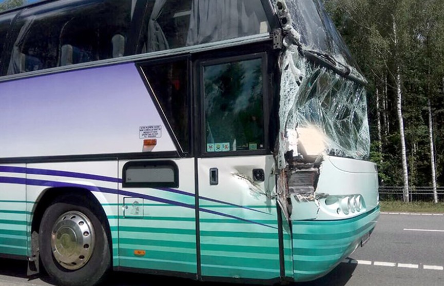 ​ДТП в Осиповичском районе: туристический автобус столкнулся с грузовиком