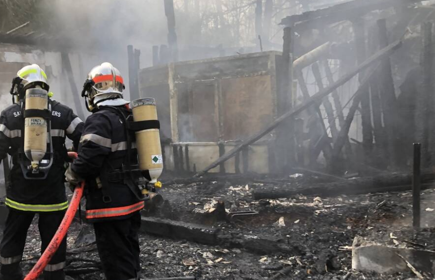 Более 50 животных погибли при пожаре во французском зоопарке