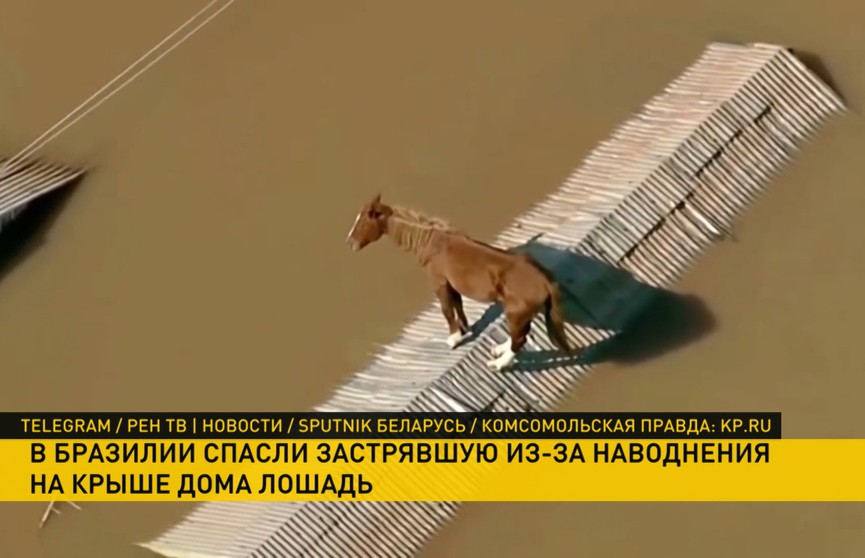 В Бразилии из-за наводнения лошадь застряла на крыше