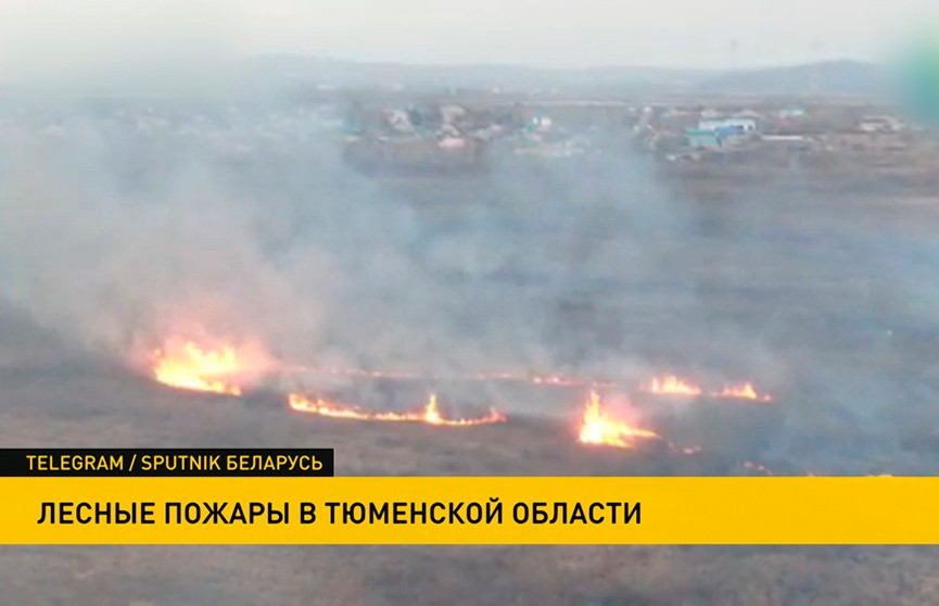 В Тюменской области горят леса. Огонь приблизился к домам