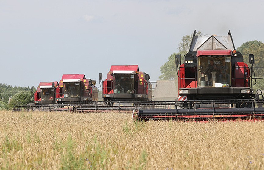 Лукашенко поставил задачу по обеспечению сохранности сельхозтехники: не меньше 15 лет