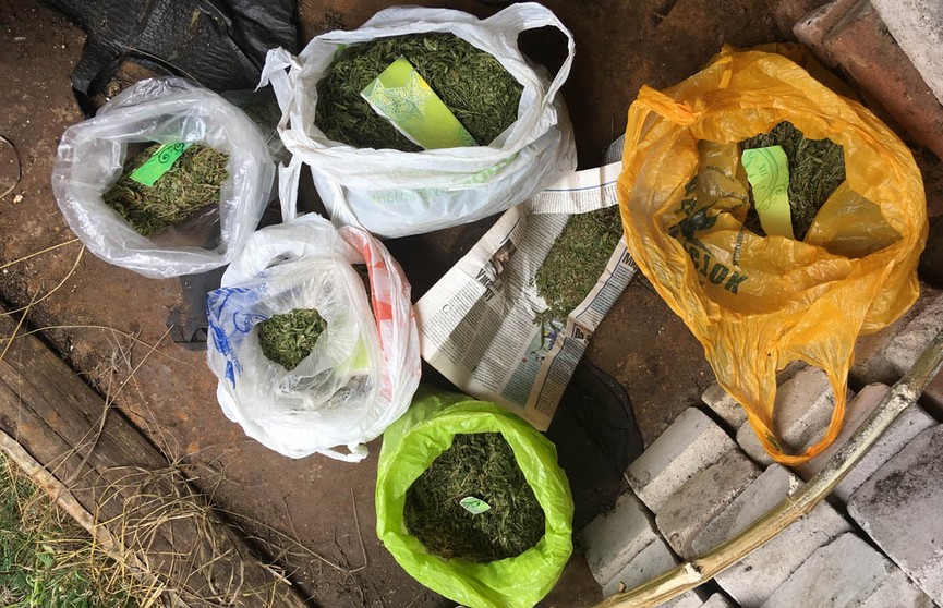 У жителя Бобруйска нашли полкило марихуаны