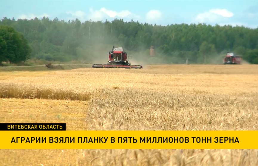 Урожай-2021: аграрии убрали 5 млн тонн зерна