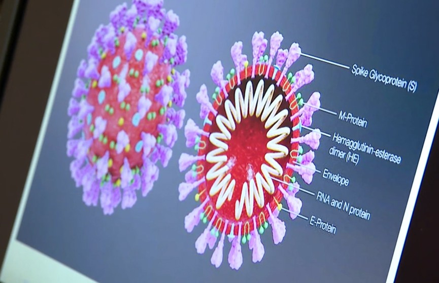 «Омикрон-ниндзя» в Беларуси: об особенностях штамма рассказала кандидат медицинских наук Ирина Вальчук