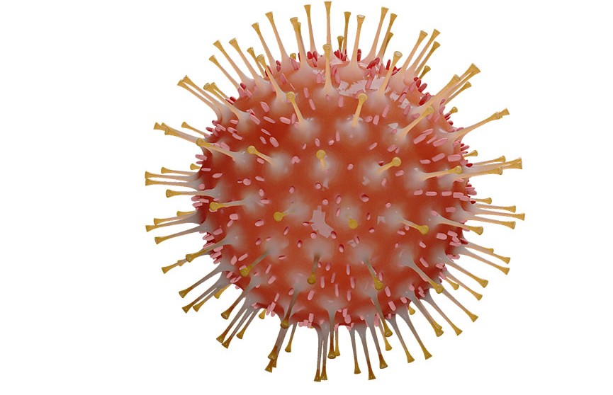 Коронавирус может выживать на поверхностях до 17 дней – исследование