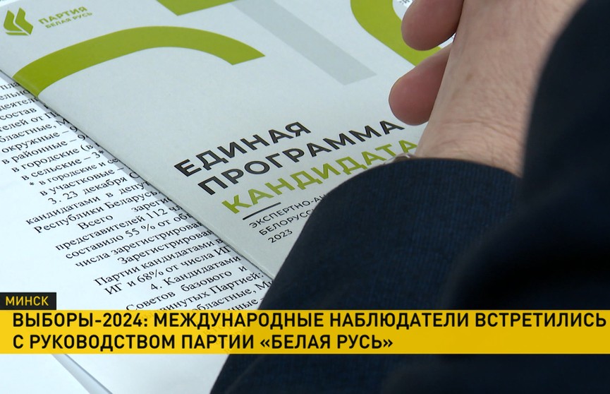 Миссия наблюдателей от СНГ провела встречу с руководством объединения «Белая Русь»