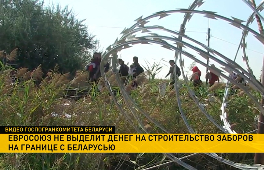 Евросоюз отказался выделять деньги на строительство заборов на границе с Беларусью
