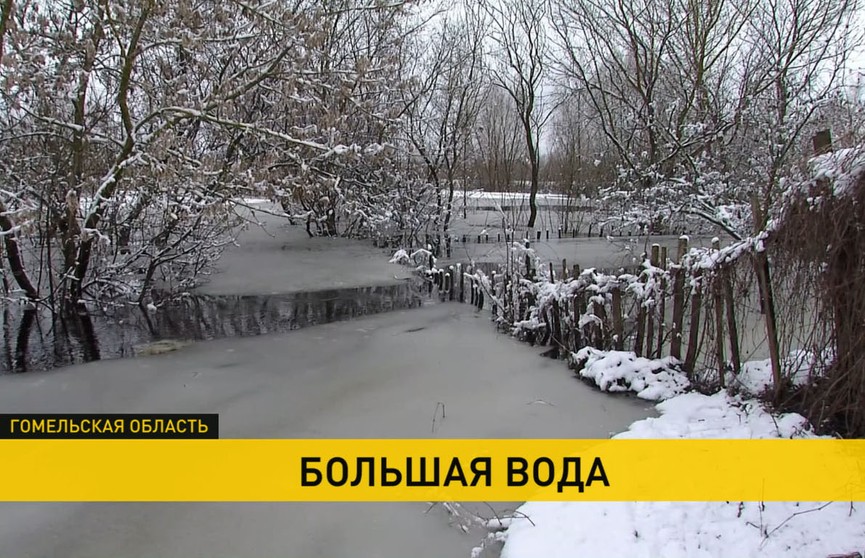 Жители Гомельской и Брестской областей страдают из-за паводков