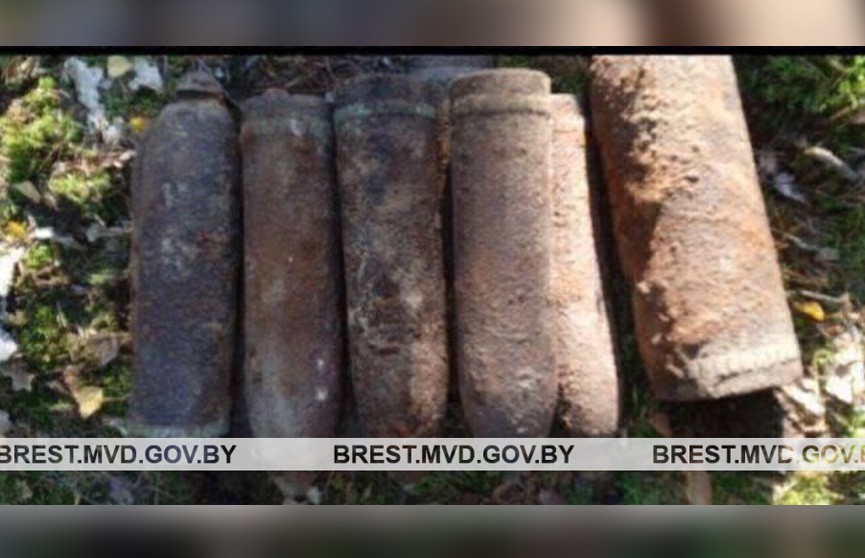 Артиллерийские снаряды времен ВОВ обнаружил грибник в Пинском районе