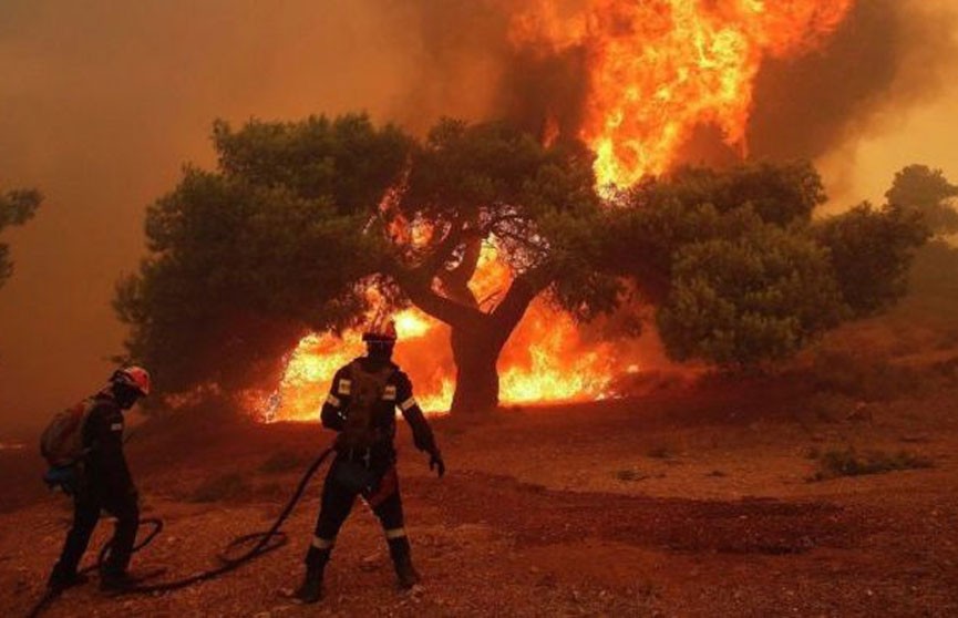 ​Более 16 часов тушат пожар на острове Эвбея в Греции