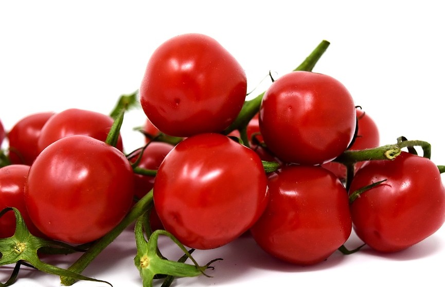 Если томаты лопаются при консервации: как сохранить овощи в идеальном состоянии? Простой совет – проверьте, работает!