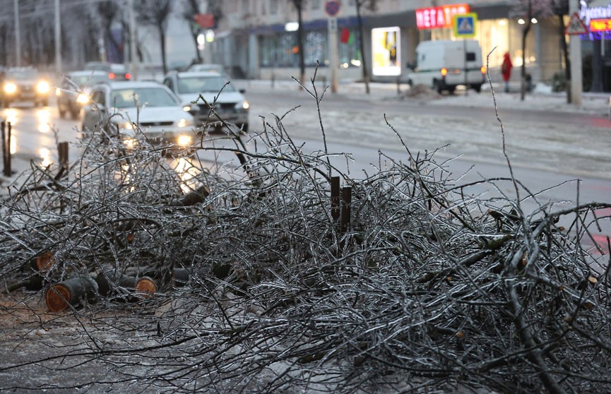 Из-за ураганного ветра за двое суток пострадали 39 населенных пунктов Беларуси