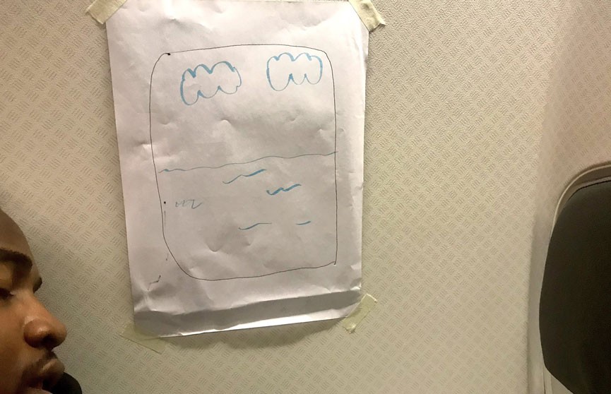 Путешественник жаловался на отсутствие окна в самолёте, так ему его нарисовали