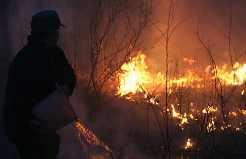 Дзясятак лясных пажараў на поўдні Беларусі: лясная ахова штодзённа праводзіць дзяжурствы