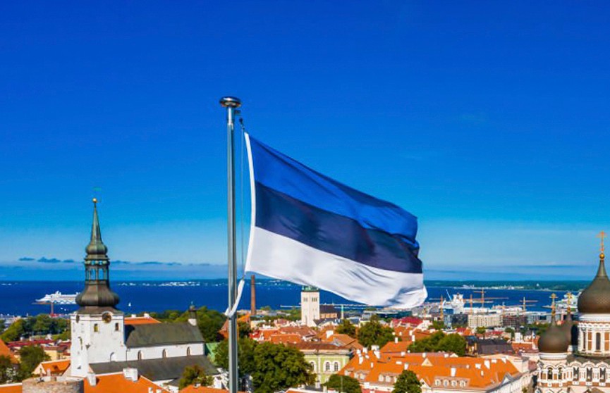 Эстония рассмотрит вопрос отправки войск на Украину