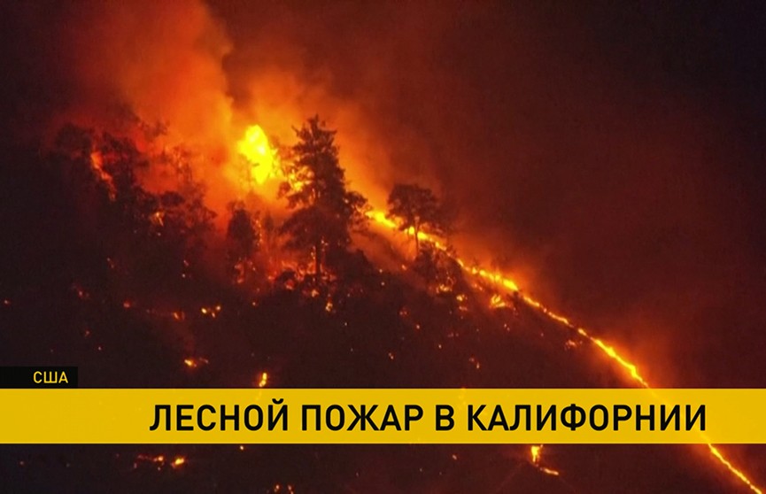 Лесные пожары в Калифорнии: за сутки выжжено около 4 тысяч гектаров
