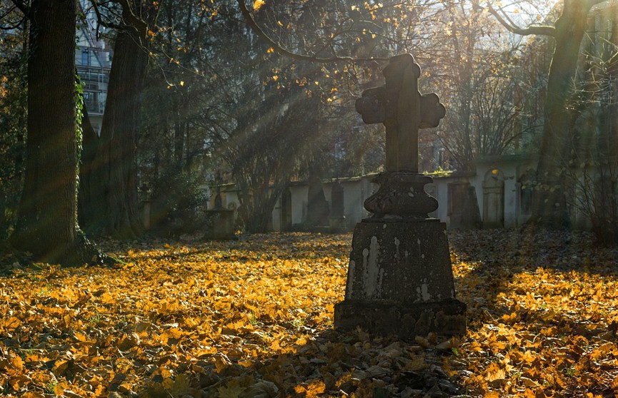 На Украине родные погибшего бойца ВСУ подрались на его могиле из-за «гробовых» выплат