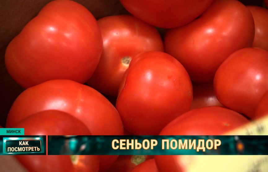 Почему зимой помидоры по вкусу далеки от летних и что с этим делать. Расследование ОНТ