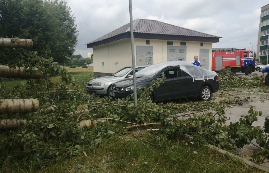 О последствиях грозы в Бобруйске рассказали в МЧС: повреждены 12 автомобилей, повалены деревья