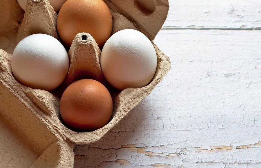 Названы способы проверить яйца на свежесть