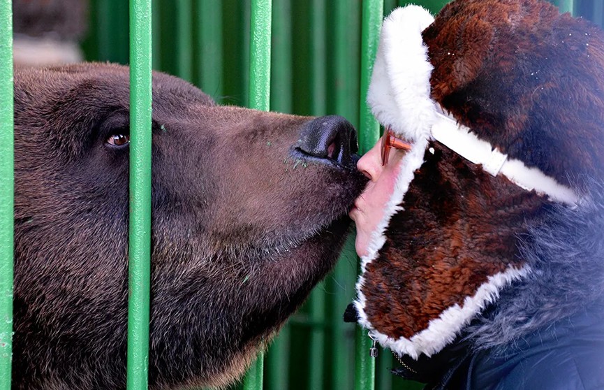 В России назвали способ пережить встречу с медведем