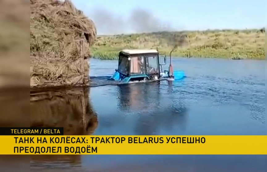 Видео от МТЗ вызвало восхищение в Сети: трактор с огромным стогом сена запросто преодолел водоем