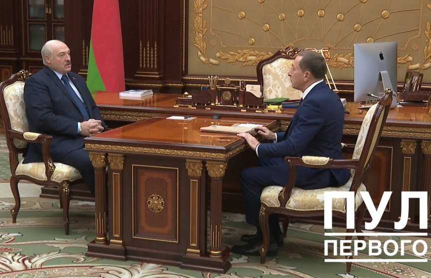 Лукашенко провел встречу с первым вице-премьером Снопковым