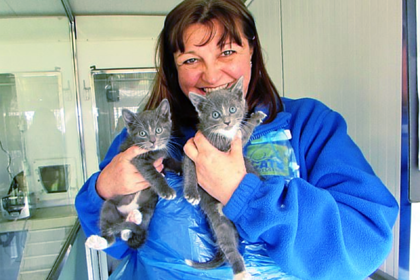 Женщина отказалась от престижной работы ради бездомных кошек