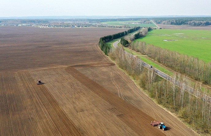 Ранними зерновыми засеяли более 60% полей. Репортаж с полей