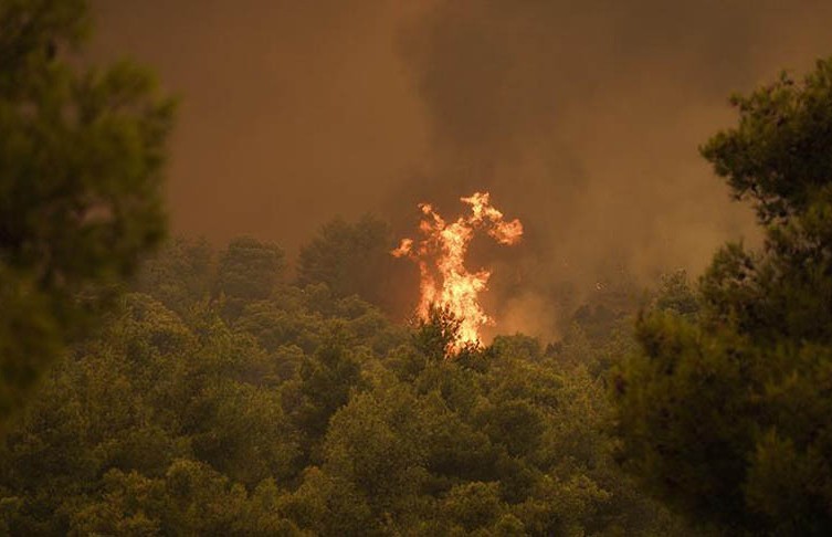 Лесной пожар бушует на острове Самос