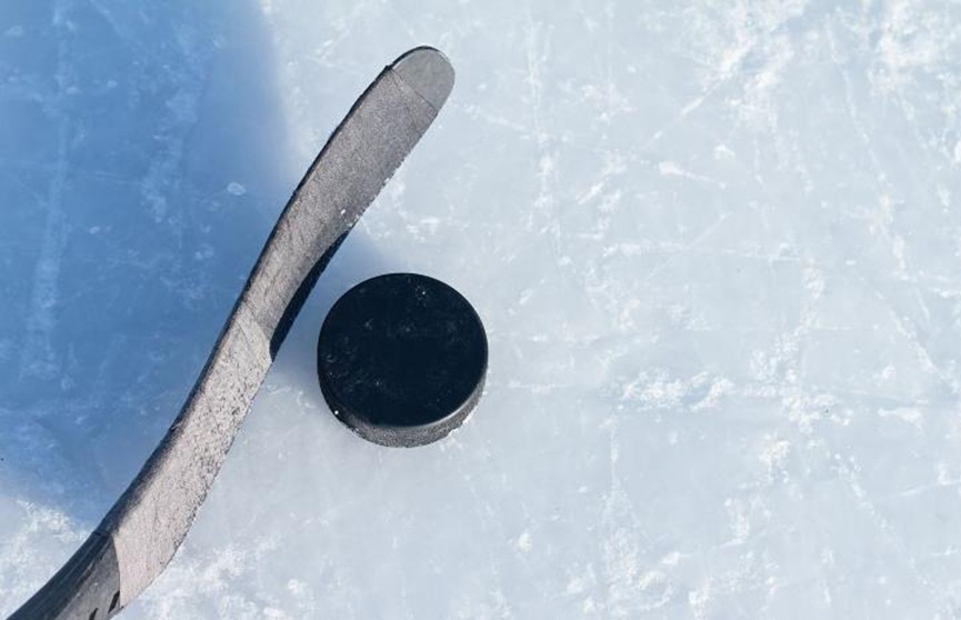 Талисман чемпионата мира по хоккею выбирают в Беларуси: проголосовали более 5 тыс. человек