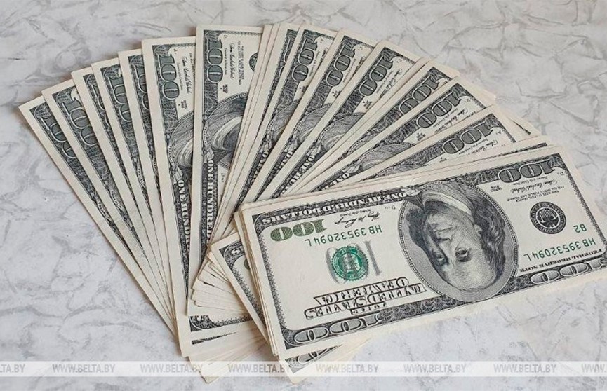 Мошенники под видом соцработников похитили $20 тыс. у пенсионерки из Бобруйска