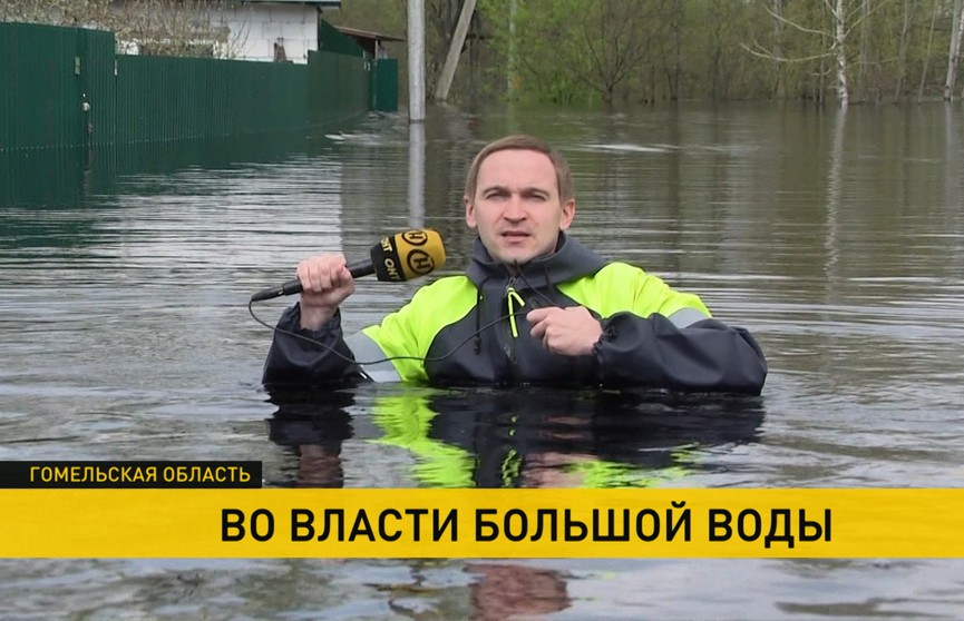 Большая вода в Гомельской области: местные жители готовятся к эвакуации
