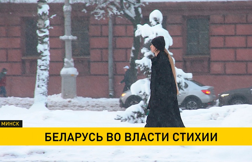 Беларусь снова во власти стихии: штормовой ветер, метели и морозы. Оранжевый уровень опасности – в ближайшие дни