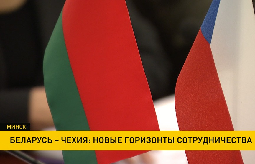 Парламентарии Беларуси и Чехии обсудили перспективы создания совместных производств
