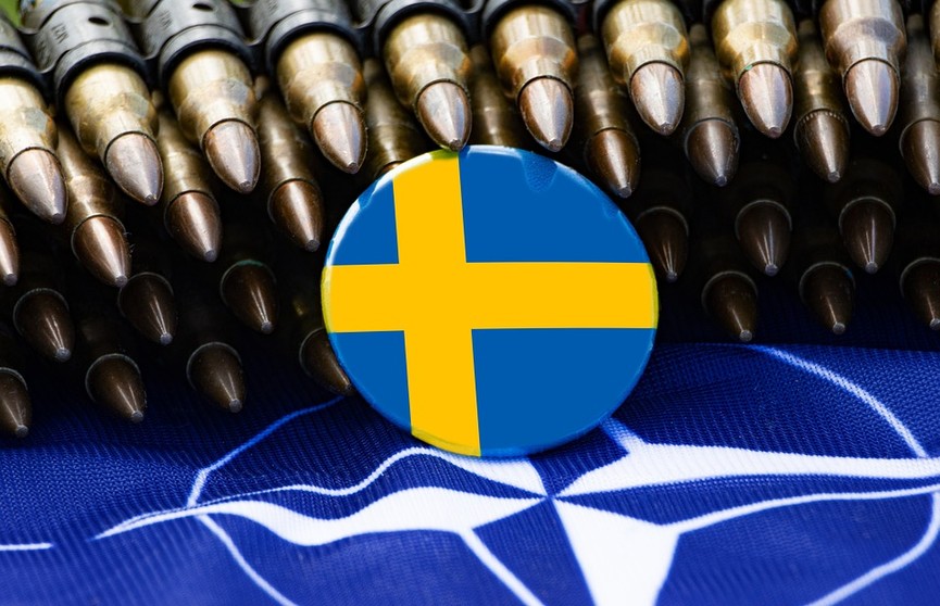 Макрон выразил желание, чтобы Швеция и Финляндия скорее вступили в НАТО
