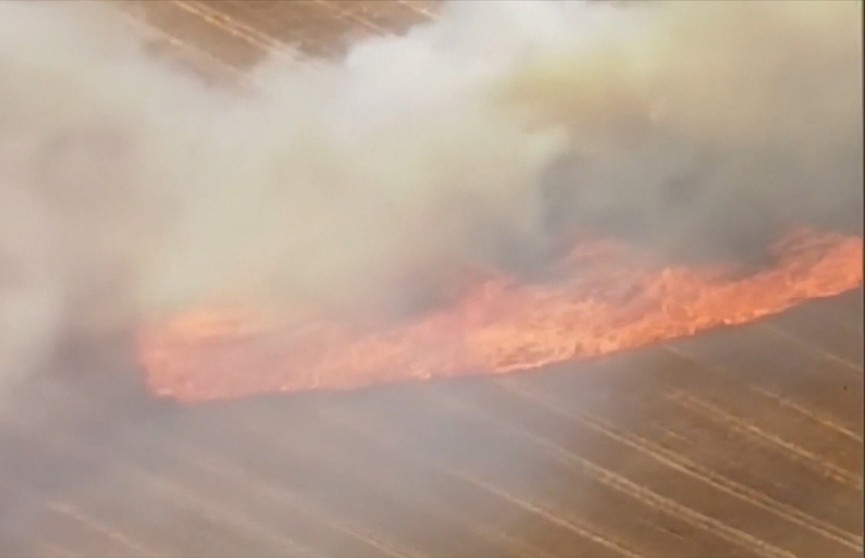 В Австралии лесной пожар добрался до Аделаиды, а в Сиднее уже опасно дышать
