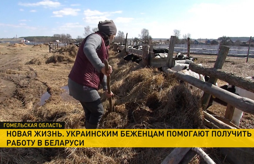 Украинцам помогают с трудоустройством в Беларуси. Рассказываем несколько историй