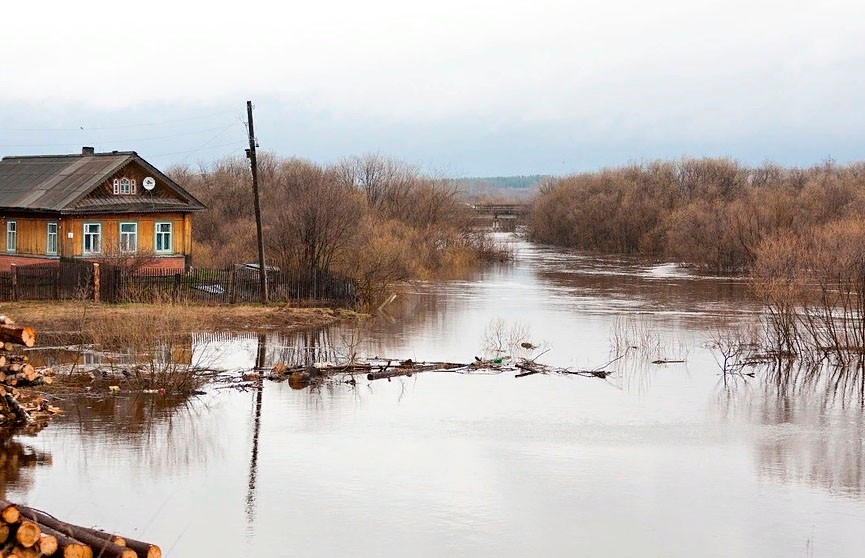 Деревня Поляновка Гомельской области «отрезана от большой земли» из-за паводка и мороза