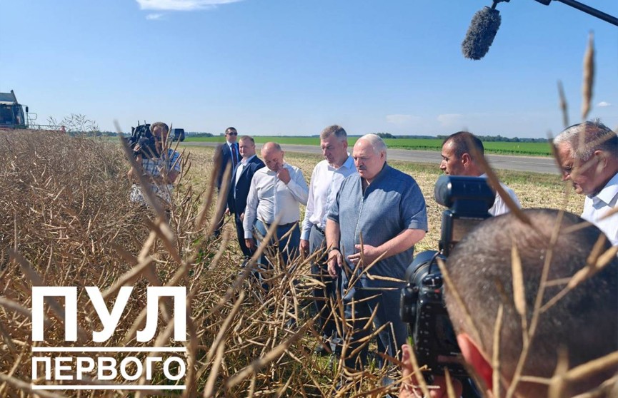 Александр Лукашенко инспектирует ход уборочной кампании в Минском районе