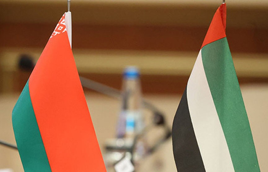 Беларусь ратифицировала соглашение с ОАЭ о сотрудничестве в области безопасности