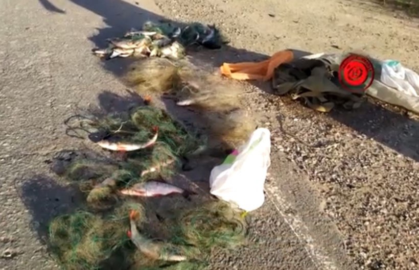 Около 300 особей рыбы и ущерб в районе 11 000 рублей: троих мужчин застали за браконьерством