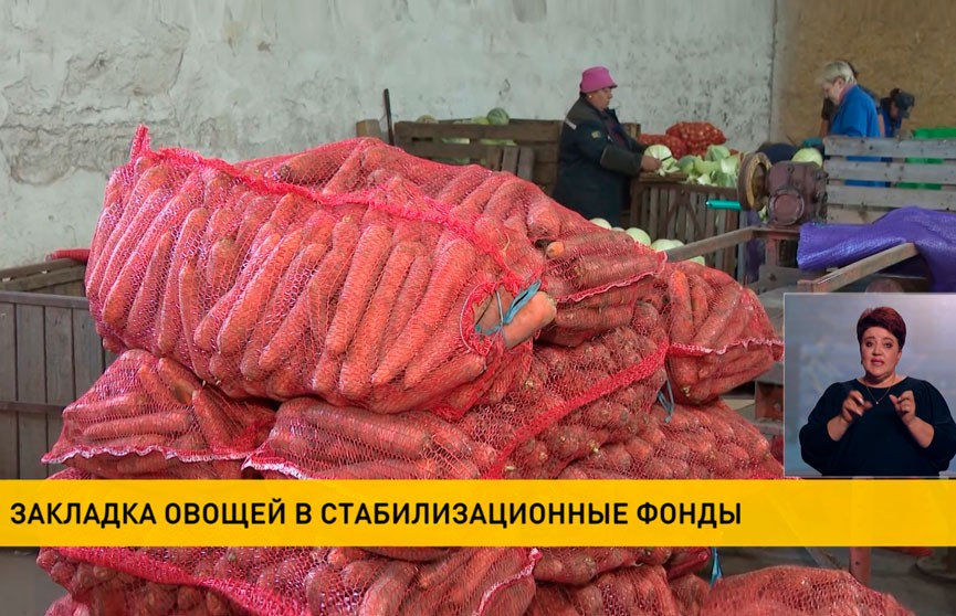 Стабилизационные фонды республики пополняются овощной продукцией